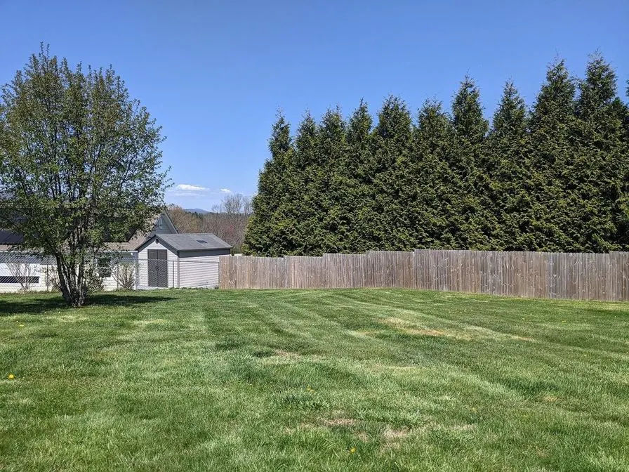 A wide backyard lawn with a timber fence and a row of tall conifers