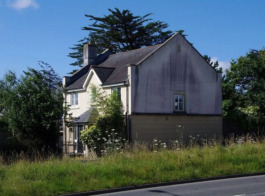 A detached house with a weathered gray gable wall, lower siding and long meadow grass in front