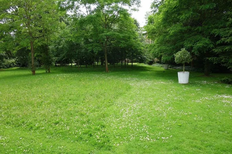 An open lawn edged by mature trees with a small planter