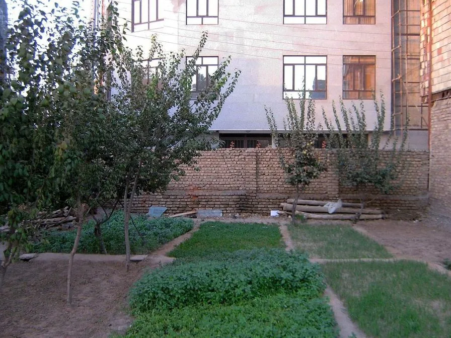 A small walled yard with fruit trees, bare soil and patchy vegetable beds below an apartment building